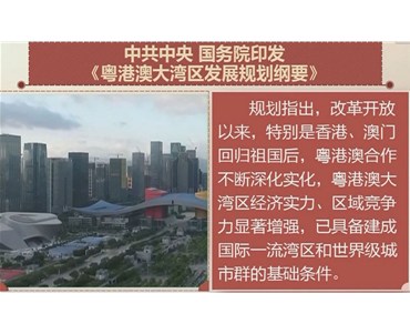 石化投资党支部学习《粤港澳大湾区发展规划纲要》